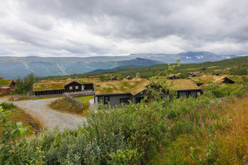 Typische H&auml;user im Norwegen Stil