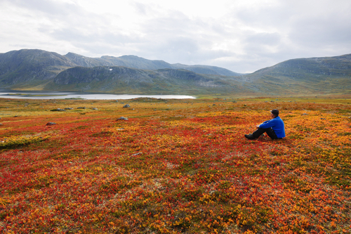 Herbstf&auml;rbung in Jotunheimen