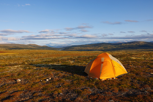 Dovrefjell-Nationalpark