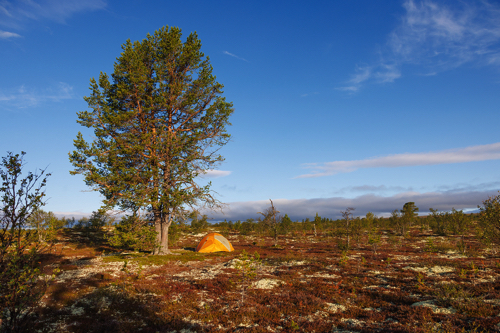 Auf dem Weg nach Fiskevollen, dem &auml;ltesten Fischercamp Norwegens an Binnengew&auml;ssern.